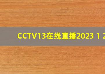 CCTV13在线直播2023 1 21